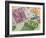 Euro Banknotes-route66-Framed Photographic Print