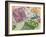 Euro Banknotes-route66-Framed Photographic Print