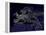 Europe At Night, Satellite Image-null-Framed Premier Image Canvas