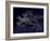 Europe At Night, Satellite Image-null-Framed Photographic Print