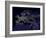 Europe At Night, Satellite Image-null-Framed Photographic Print