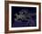 Europe At Night, Satellite Image-null-Framed Photographic Print