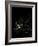 Europe At Night, Satellite Image-PLANETOBSERVER-Framed Photographic Print