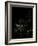 Europe At Night, Satellite Image-PLANETOBSERVER-Framed Photographic Print