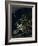 Europe At Night, Satellite Image-PLANETOBSERVER-Framed Photographic Print