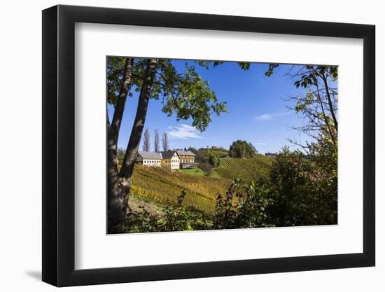 Europe, Austria, Styria, South-Styrian Wine Route, Vineyards, Houses-Gerhard Wild-Framed Photographic Print