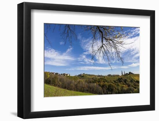 Europe, Austria, Styria, South-Styrian Wine Route, Vineyards, Houses-Gerhard Wild-Framed Photographic Print