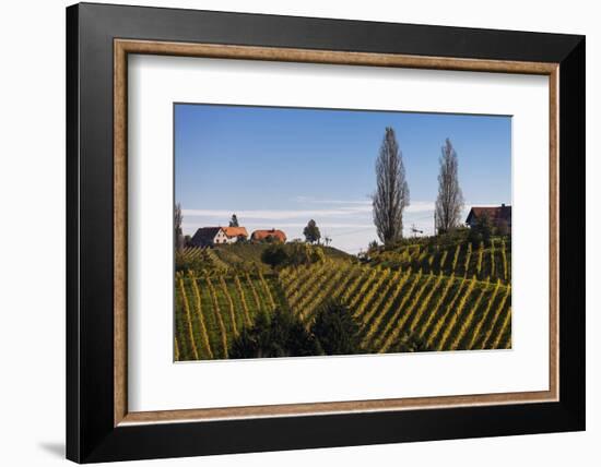 Europe, Austria, Styria, South-Styrian Wine Route, Vineyards, Houses-Gerhard Wild-Framed Photographic Print