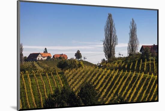 Europe, Austria, Styria, South-Styrian Wine Route, Vineyards, Houses-Gerhard Wild-Mounted Photographic Print