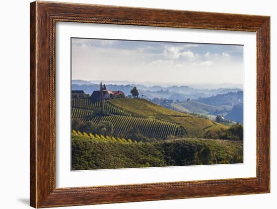 Europe, Austria, Styria, South-Styrian Wine Route, Vineyards, Houses-Gerhard Wild-Framed Photographic Print