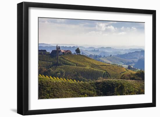 Europe, Austria, Styria, South-Styrian Wine Route, Vineyards, Houses-Gerhard Wild-Framed Photographic Print