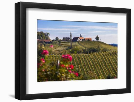 Europe, Austria, Styria, South-Styrian Wine Route, Vineyards, Houses-Gerhard Wild-Framed Photographic Print