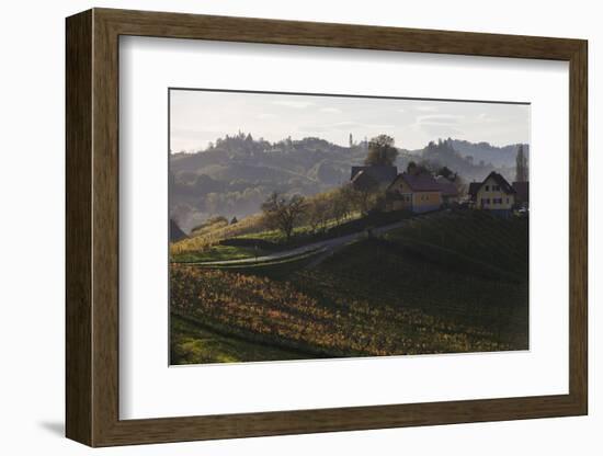 Europe, Austria, Styria, South-Styrian Wine Route, Vineyards, Houses-Gerhard Wild-Framed Photographic Print