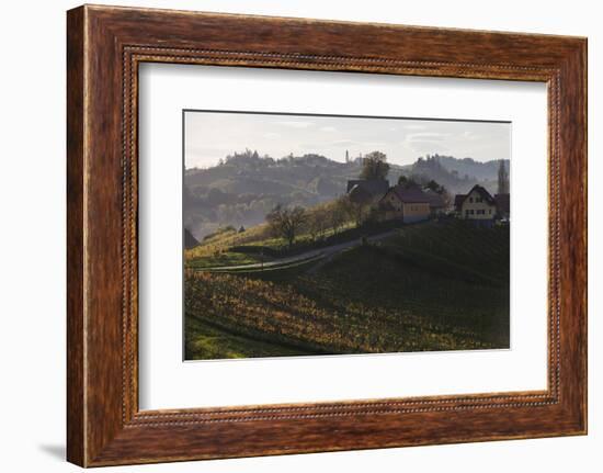 Europe, Austria, Styria, South-Styrian Wine Route, Vineyards, Houses-Gerhard Wild-Framed Photographic Print