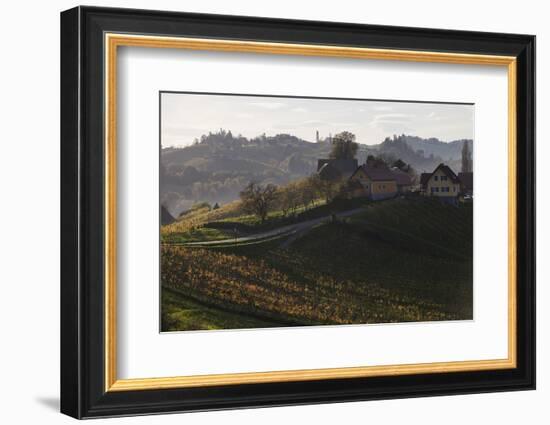 Europe, Austria, Styria, South-Styrian Wine Route, Vineyards, Houses-Gerhard Wild-Framed Photographic Print