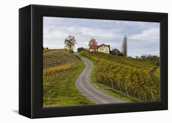 Europe, Austria, Styria, South-Styrian Wine Route, Vineyards, Houses-Gerhard Wild-Framed Premier Image Canvas