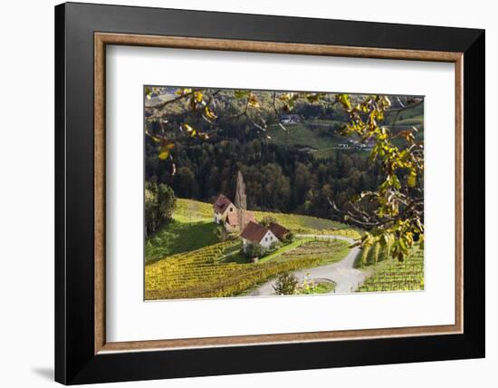 Europe, Austria, Styria, South-Styrian Wine Route, Wine Farm-Gerhard Wild-Framed Photographic Print