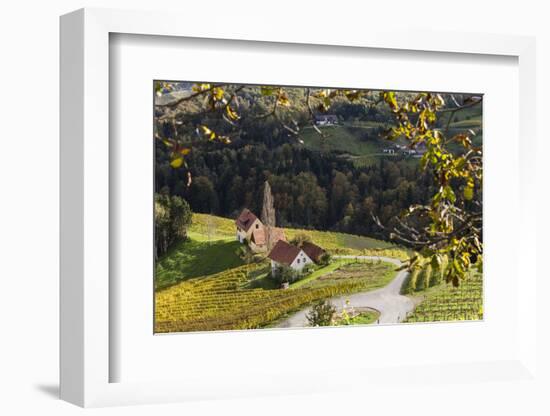 Europe, Austria, Styria, South-Styrian Wine Route, Wine Farm-Gerhard Wild-Framed Photographic Print