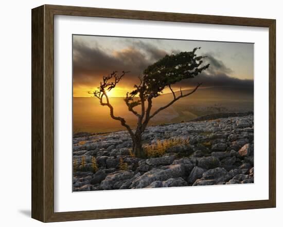 Europe, England, North Yorkshire, Ingleton, Twistleton Scars-Mark Sykes-Framed Photographic Print