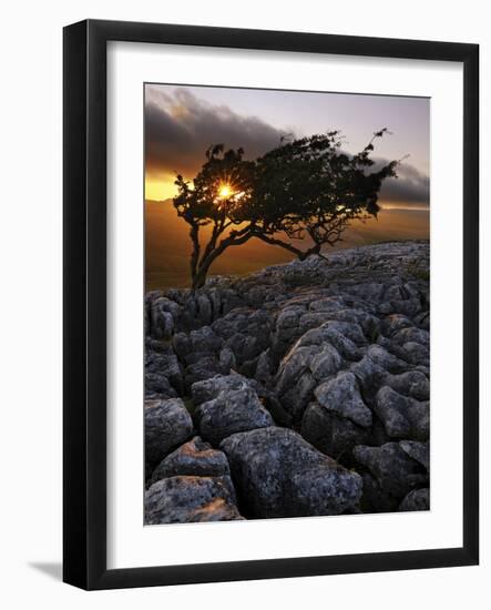 Europe, England, North Yorkshire, Ingleton, Twistleton Scars-Mark Sykes-Framed Photographic Print