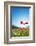 Europe, France, Haute Savoie, Rhone Alps, Poppy Field-Christian Kober-Framed Photographic Print