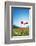 Europe, France, Haute Savoie, Rhone Alps, Poppy Field-Christian Kober-Framed Photographic Print