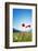 Europe, France, Haute Savoie, Rhone Alps, Poppy Field-Christian Kober-Framed Photographic Print