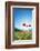 Europe, France, Haute Savoie, Rhone Alps, Poppy Field-Christian Kober-Framed Photographic Print