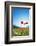 Europe, France, Haute Savoie, Rhone Alps, Poppy Field-Christian Kober-Framed Photographic Print