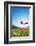 Europe, France, Haute Savoie, Rhone Alps, Poppy Field-Christian Kober-Framed Photographic Print