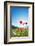 Europe, France, Haute Savoie, Rhone Alps, Poppy Field-Christian Kober-Framed Photographic Print