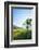 Europe, France, Haute Savoie, Rhone Alps, Poppy Field-Christian Kober-Framed Photographic Print