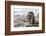 Europe, France, Paris. a Gargoyle on the Notre Dame Cathedral-Charles Sleicher-Framed Photographic Print