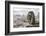 Europe, France, Paris. a Gargoyle on the Notre Dame Cathedral-Charles Sleicher-Framed Photographic Print