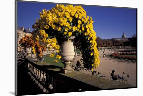 Europe, France, Paris. Jardin de Luxembourg-David Barnes-Mounted Photographic Print