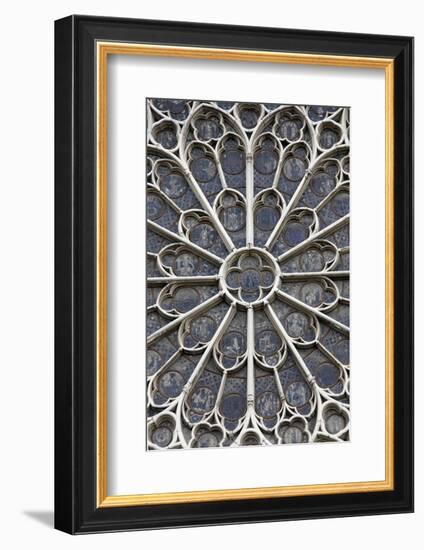 Europe, France, Paris. Stained glass windows of Notre-Dame Cathedral.-Kymri Wilt-Framed Photographic Print