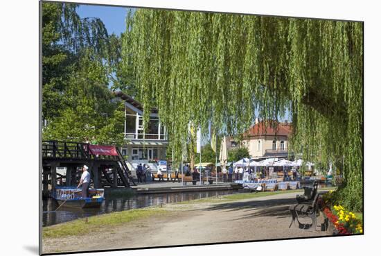 Europe, Germany, Brandenburg, Spreewald (Spree Forest), LŸbbenau, Harbour Promenade, Weeping Willow-Chris Seba-Mounted Photographic Print