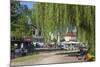 Europe, Germany, Brandenburg, Spreewald (Spree Forest), LŸbbenau, Harbour Promenade, Weeping Willow-Chris Seba-Mounted Photographic Print