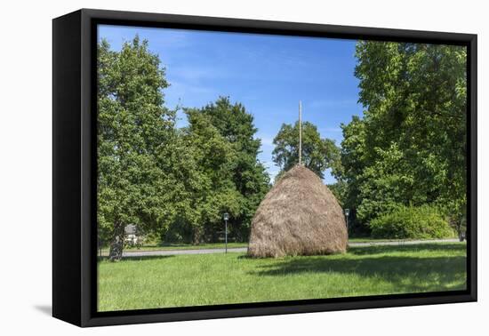 Europe, Germany, Brandenburg, Spreewald (Spree Forest), Leipe, Traditional Haycock-Chris Seba-Framed Premier Image Canvas