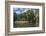 Europe, Germany, Brandenburg, Spreewald (Spree Forest), Schlepzig, Canoe Driver-Chris Seba-Framed Photographic Print