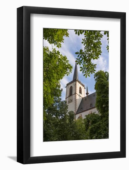 Europe, Germany, Rhineland-Palatinate, District Bernkastel Wittlich-Udo Bernhart-Framed Photographic Print