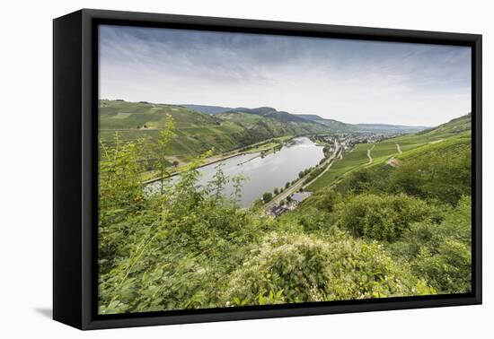 Europe, Germany, Rhineland-Palatinate, District Bernkastel Wittlich-Udo Bernhart-Framed Premier Image Canvas