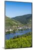 Europe, Germany, Rhineland-Palatinate, District Cochem-Zell-Udo Bernhart-Mounted Photographic Print