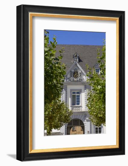 Europe, Germany, Rhineland-Palatinate, Palace of Walderdorff-Udo Bernhart-Framed Photographic Print
