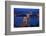 Europe, Hungary, Budapest. Chain Bridge Lit at Night-Jaynes Gallery-Framed Photographic Print