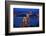 Europe, Hungary, Budapest. Chain Bridge Lit at Night-Jaynes Gallery-Framed Photographic Print