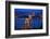 Europe, Hungary, Budapest. Chain Bridge Lit at Night-Jaynes Gallery-Framed Photographic Print