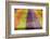 Europe, Ireland, Avoca. Avoca Handweavers Mill, County Wicklow. Colorful Wool Yarns.-Kymri Wilt-Framed Photographic Print