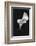 Europe, Ireland, Dublin. Calla Lily Black and White-Jaynes Gallery-Framed Photographic Print