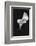 Europe, Ireland, Dublin. Calla Lily Black and White-Jaynes Gallery-Framed Photographic Print